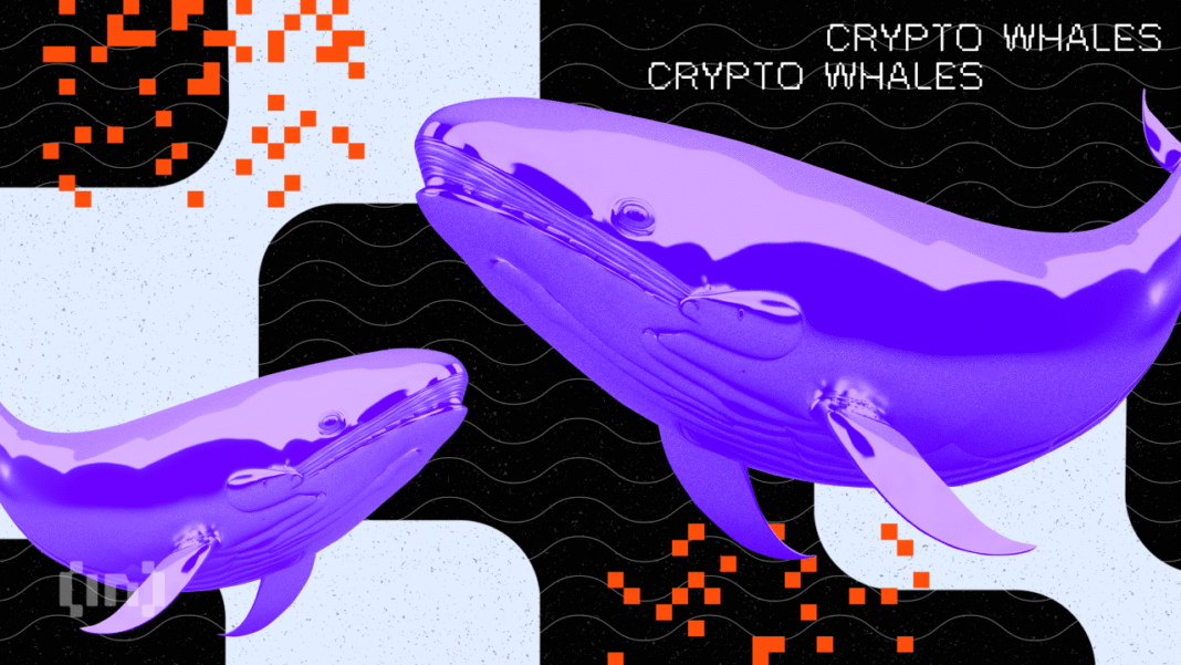 BIC_CryptoWhales_twowhales.png