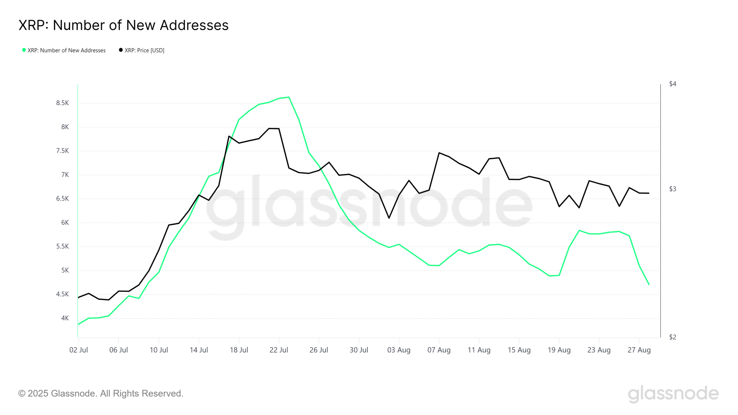 XRP New Addresses