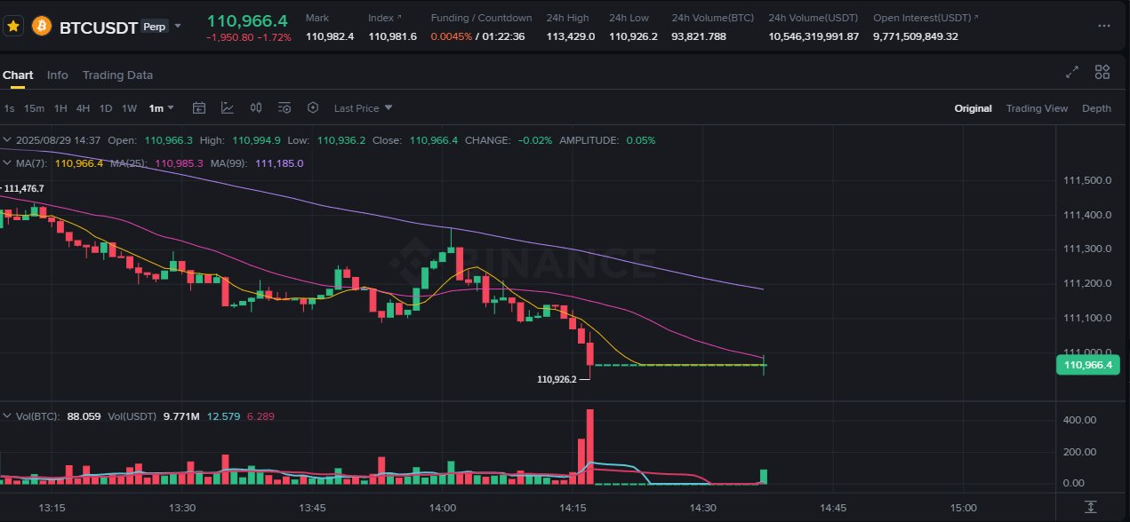 Binance futures downtime