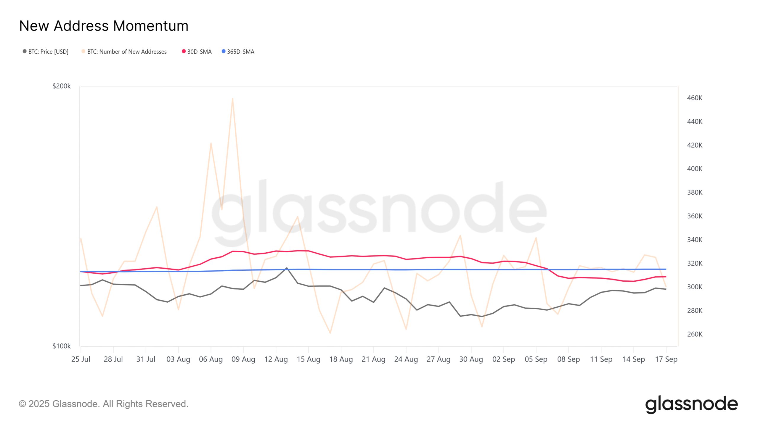 Bitcoin New Address Momentum