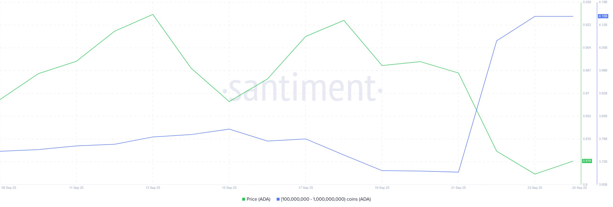 Cardano Whale Holdings