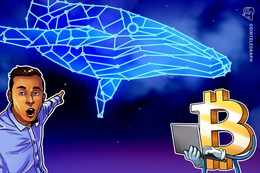 Bitcoin whale awakens after 12 years, transfers 1,000 BTC before US Fed meeting