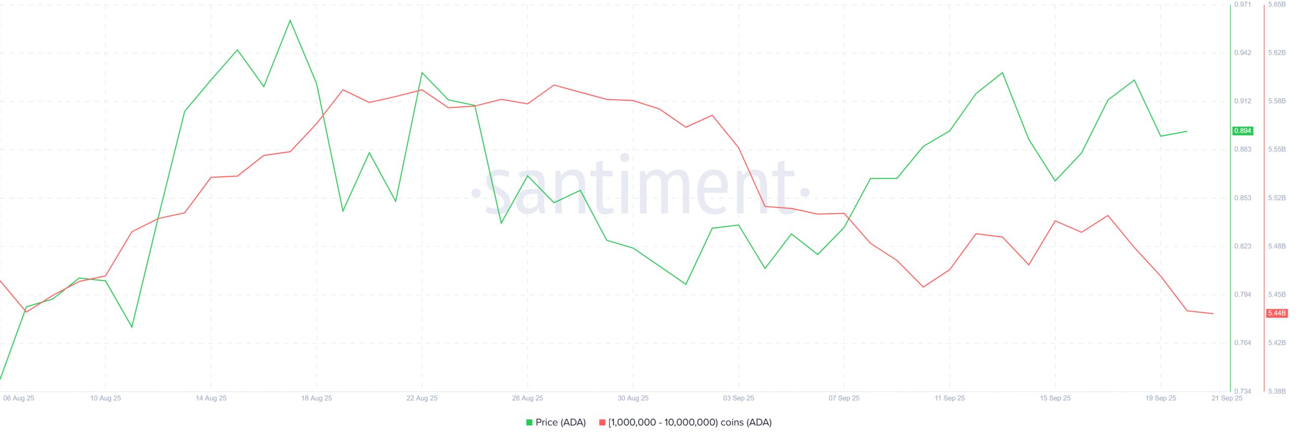 Cardano Whale Holdings