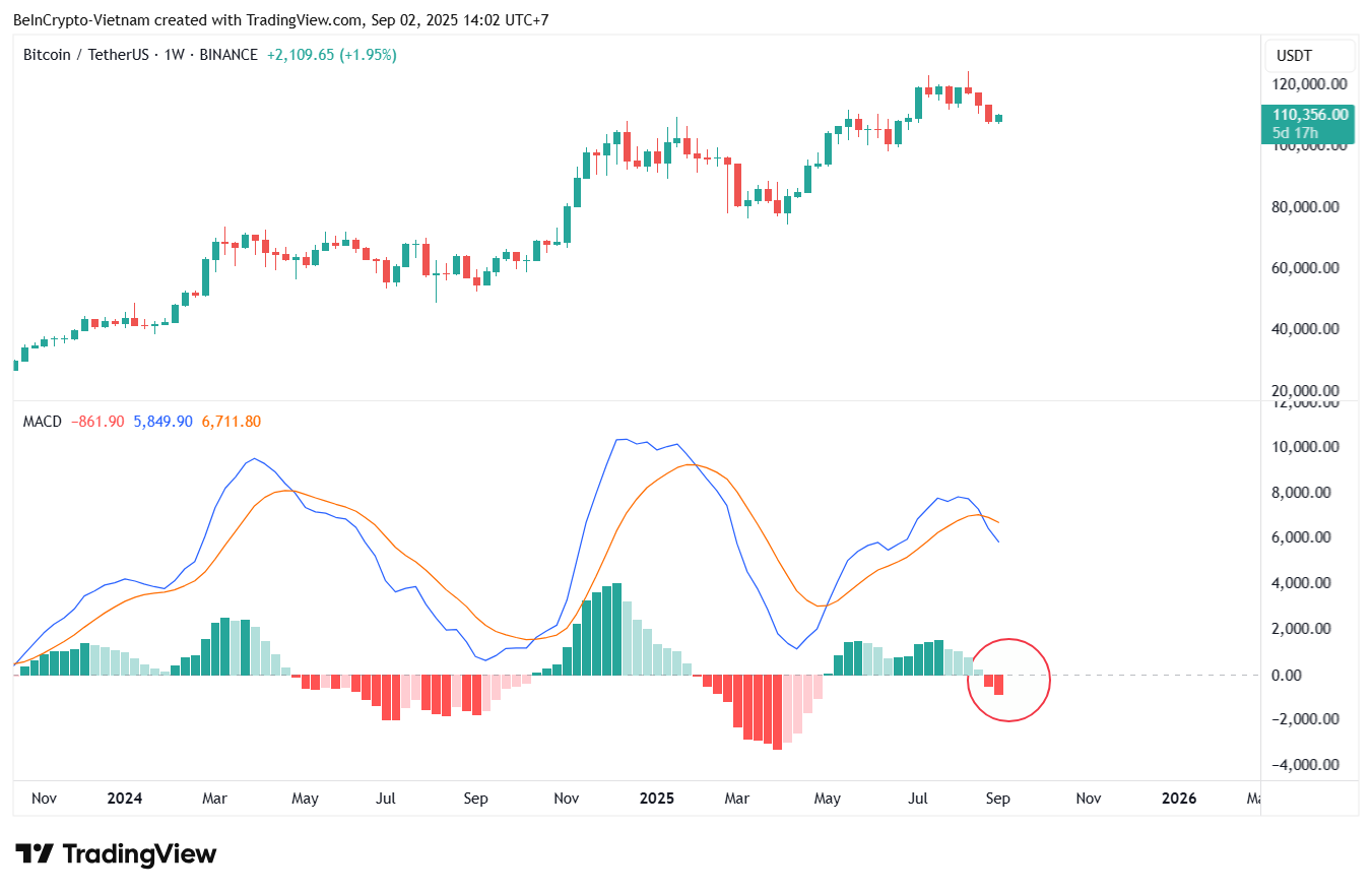 Bitcoin Price & MACD Indicator. Source: TradingView.