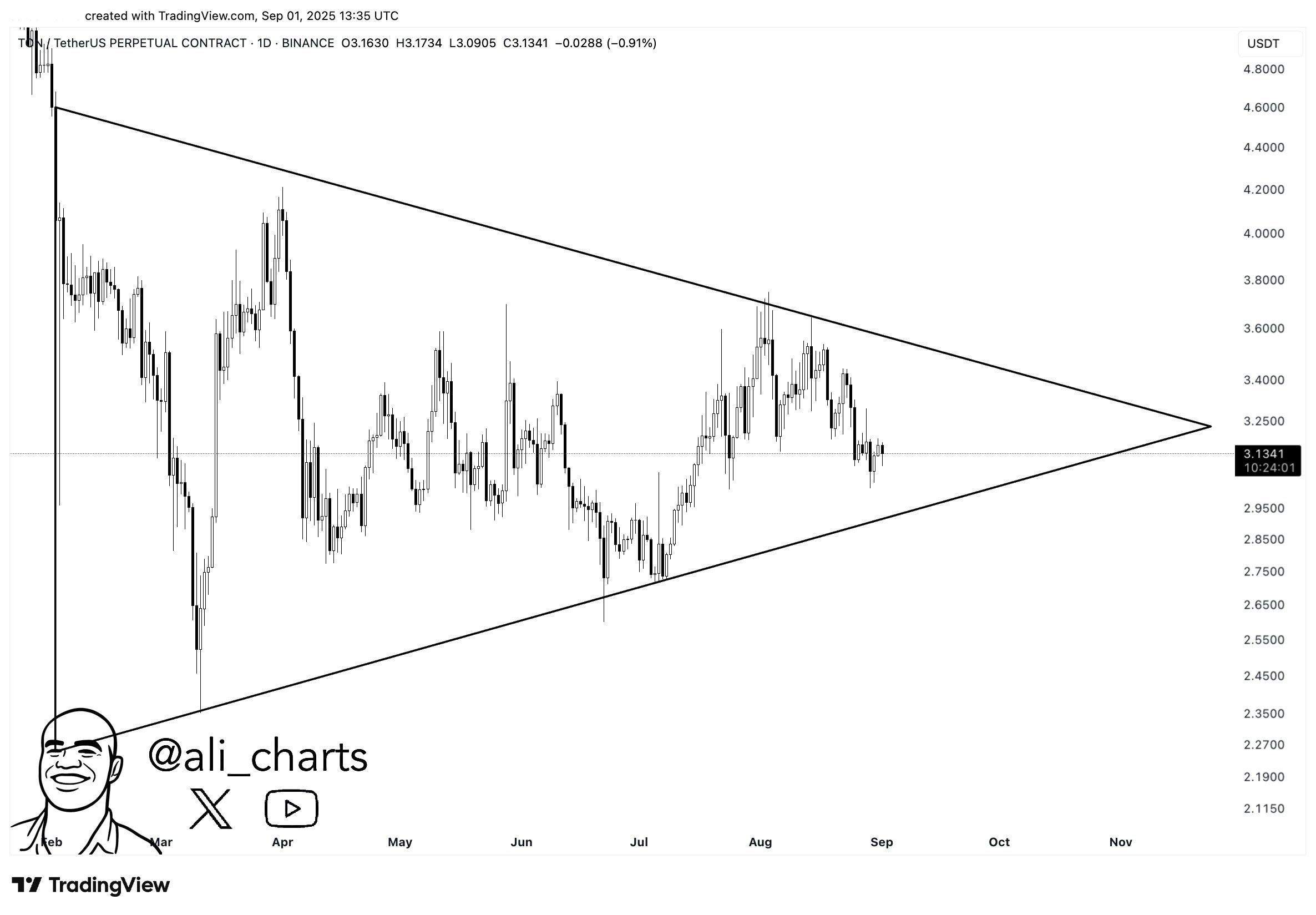 TON 1D chart. Source: Ali on X
