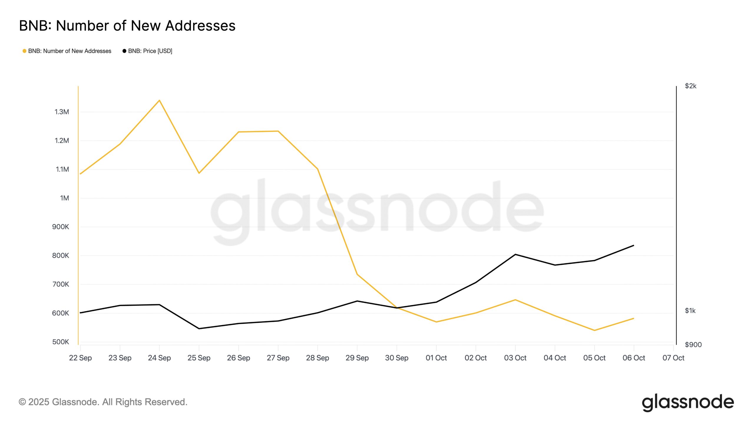 BNB Number of New Addresses